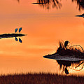 Egret's Refuge